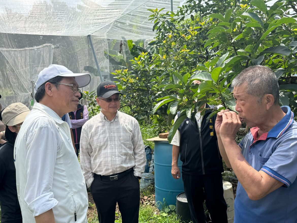 屏東酪梨「只開花不結果」農損嚴重  立委蘇清泉會勘促救助