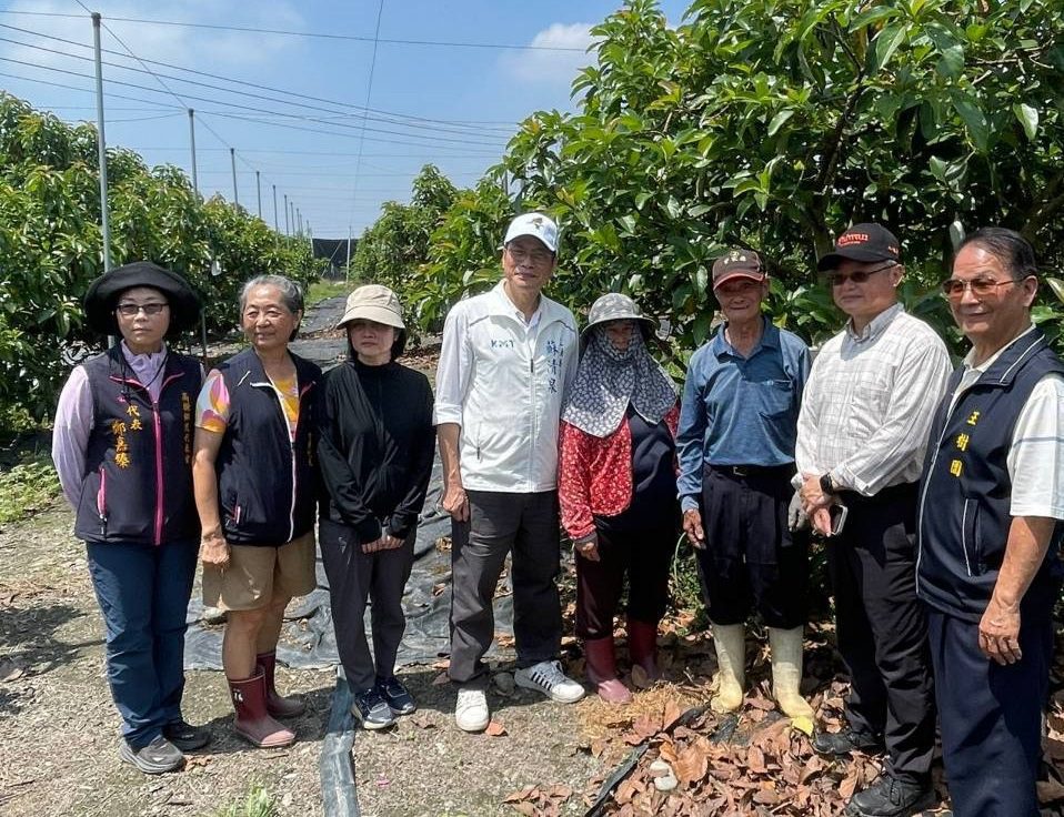 蘇清泉促啟屏東酪梨災害救助  農業部火速公告災損補助上路