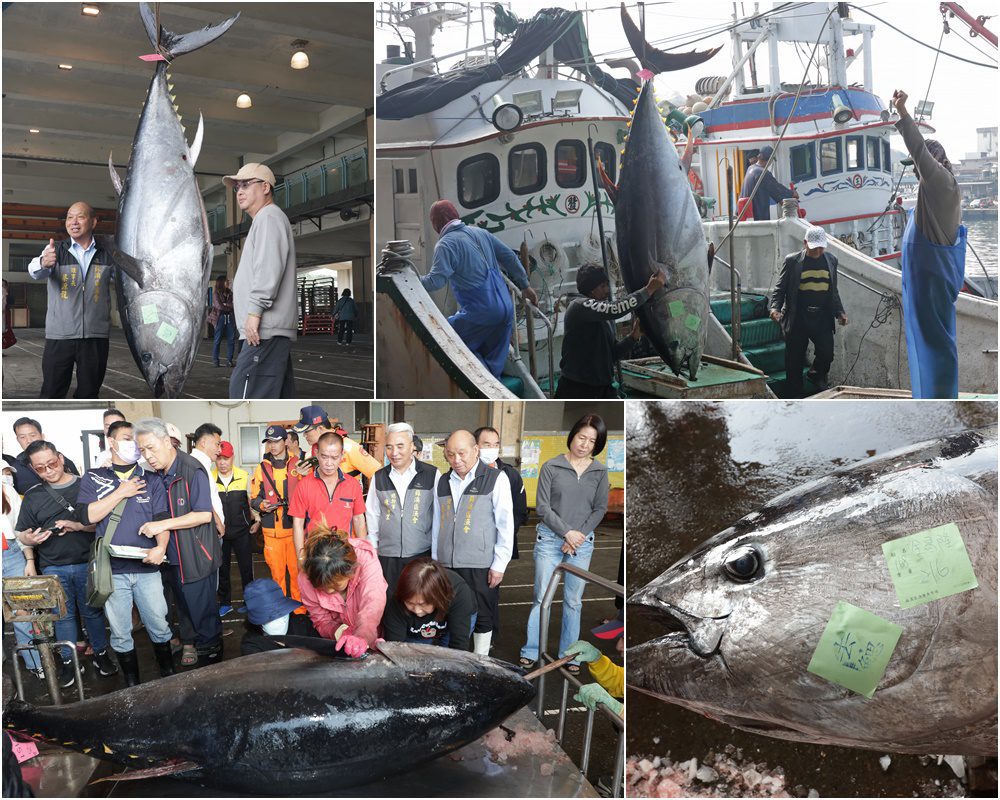 2025全國第一黑鮪魚　蘇澳漁船捕獲重達216公斤