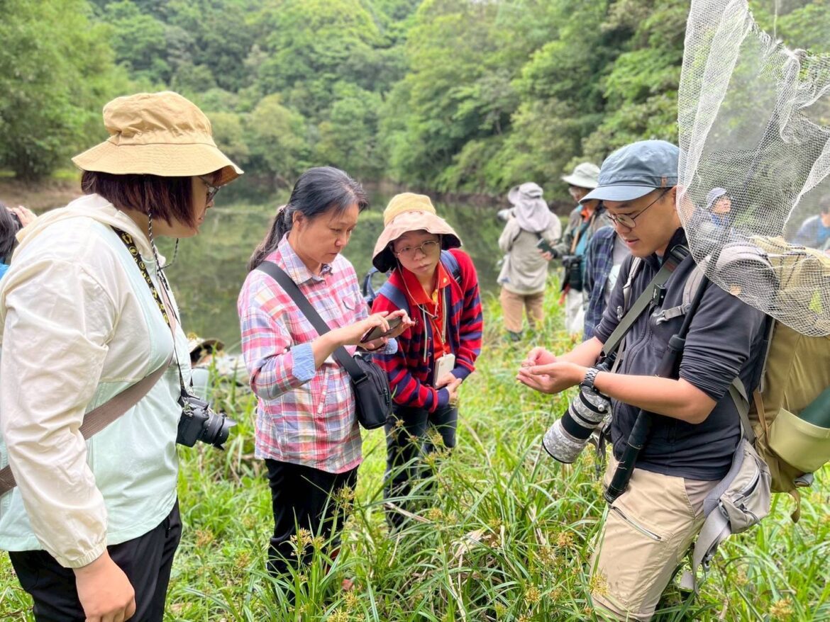 雙連埤生態保育有成  蜻蜓與豆娘頻現蹤