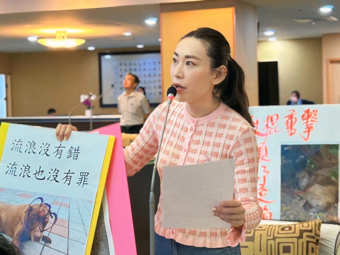 為受虐浪浪申冤 台南市議員曾之婕要求嚴辦