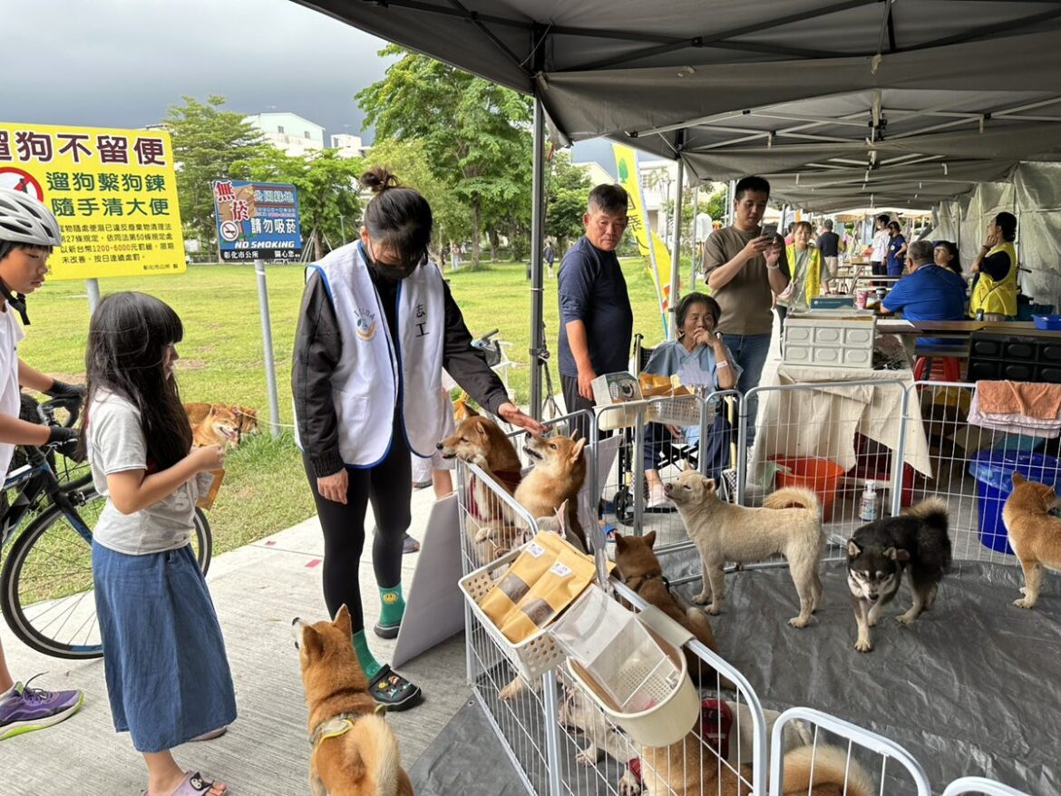 歡度母親節   秀傳寵物市集   免費健檢疫苗施打一次滿足