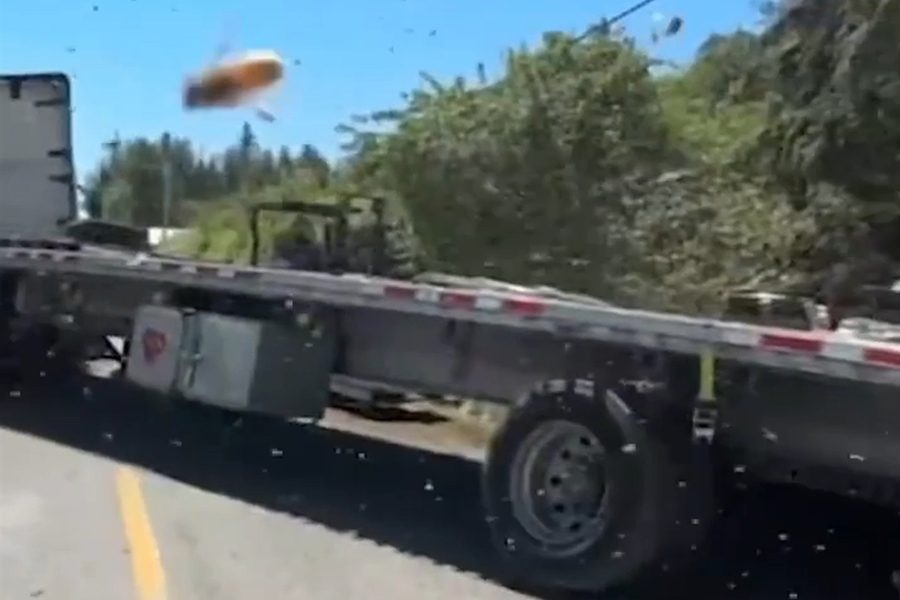 影音/2.5億隻蜜蜂大逃亡 美運蜂卡車翻覆封鎖道路