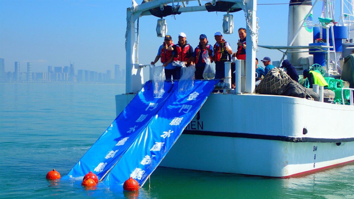 配合世界海洋日 金門縣政府水試所放流魚苗16萬尾
