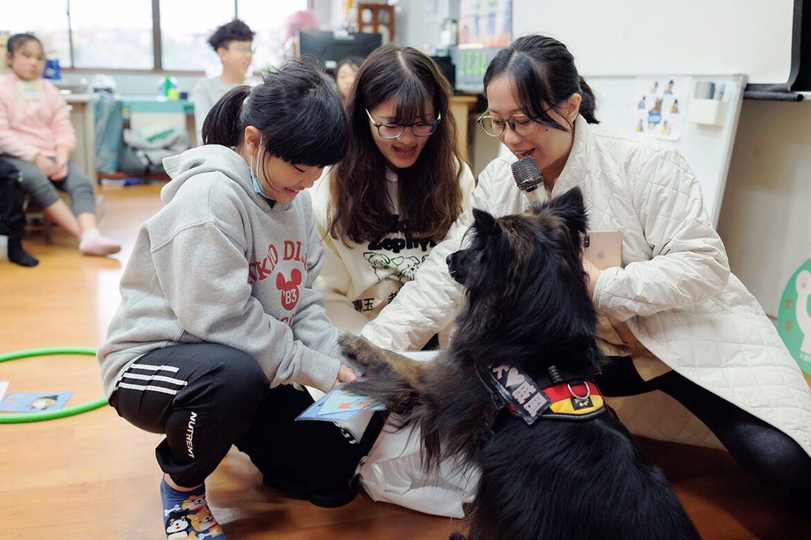 從浪犬到狗老師　打造人與動物共好的療癒藍圖