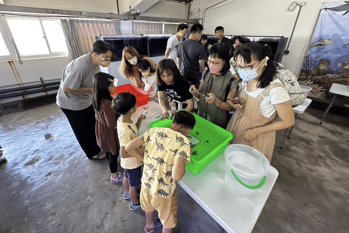 暑假去哪玩？新北海洋資源復育園區「珊瑚小學堂」開課     免費體驗海洋生態之美