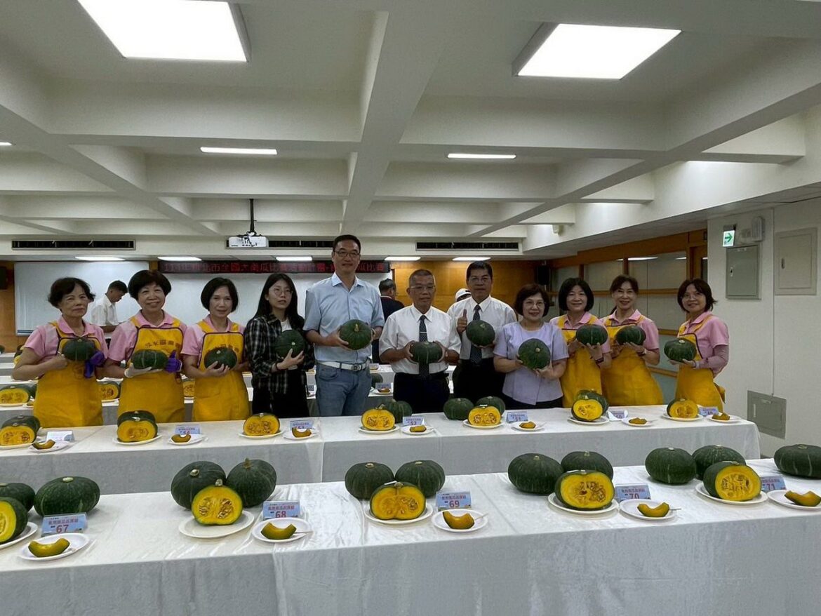 新北市全國大南瓜比賽食用組糖度高達14.9　淡水、新店、深坑農民齊奪佳績