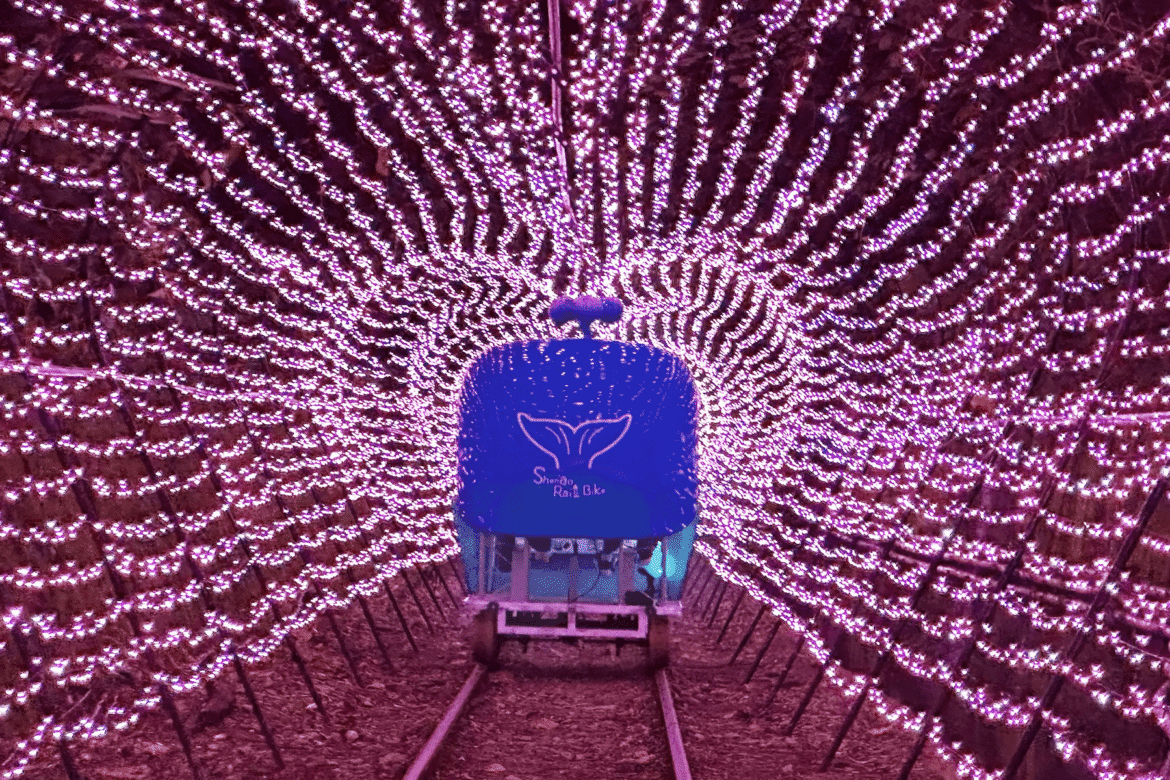 暑假限定!深澳鐵道自行車「燦爛夏夜山海騎」登場     夜晚燈飾點亮無敵海景