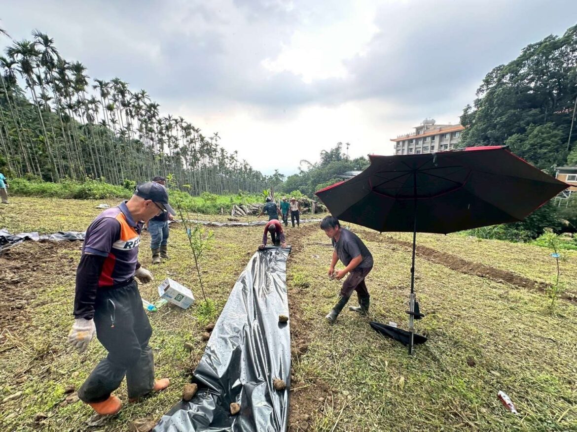 雲林縣運用產官學民機制　螢火蟲生態復育再邁一步