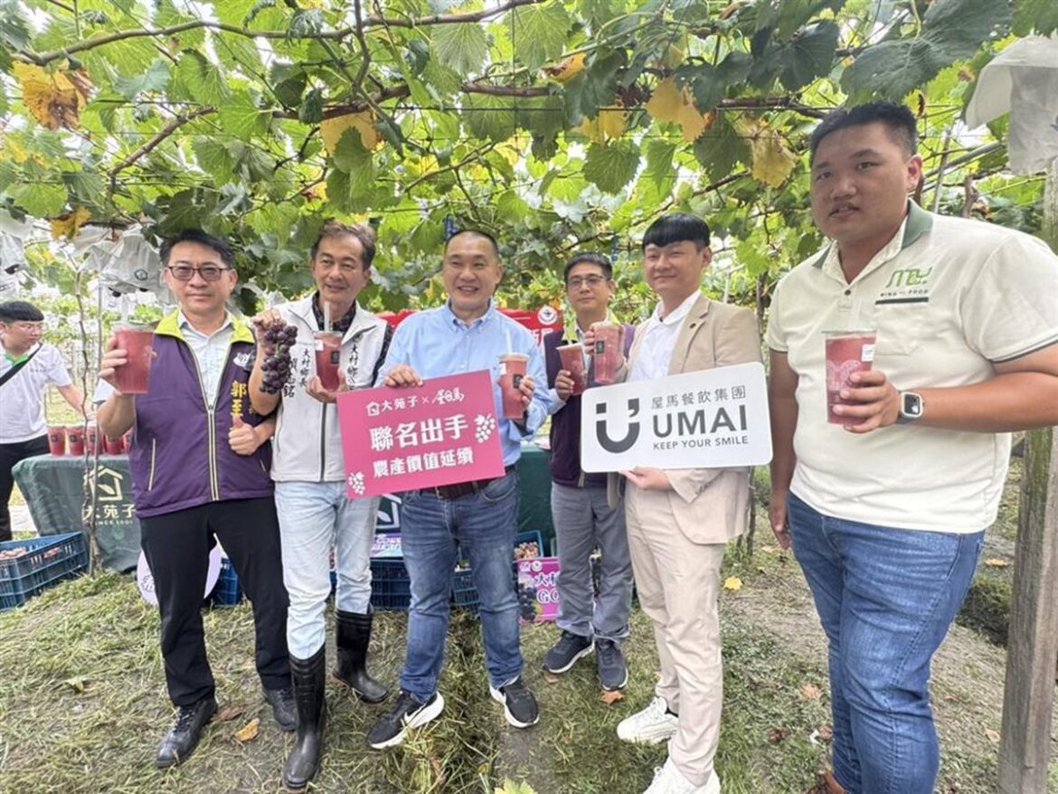 影音/知名企業攜手相挺大村巨峰   產地與餐桌共創新局