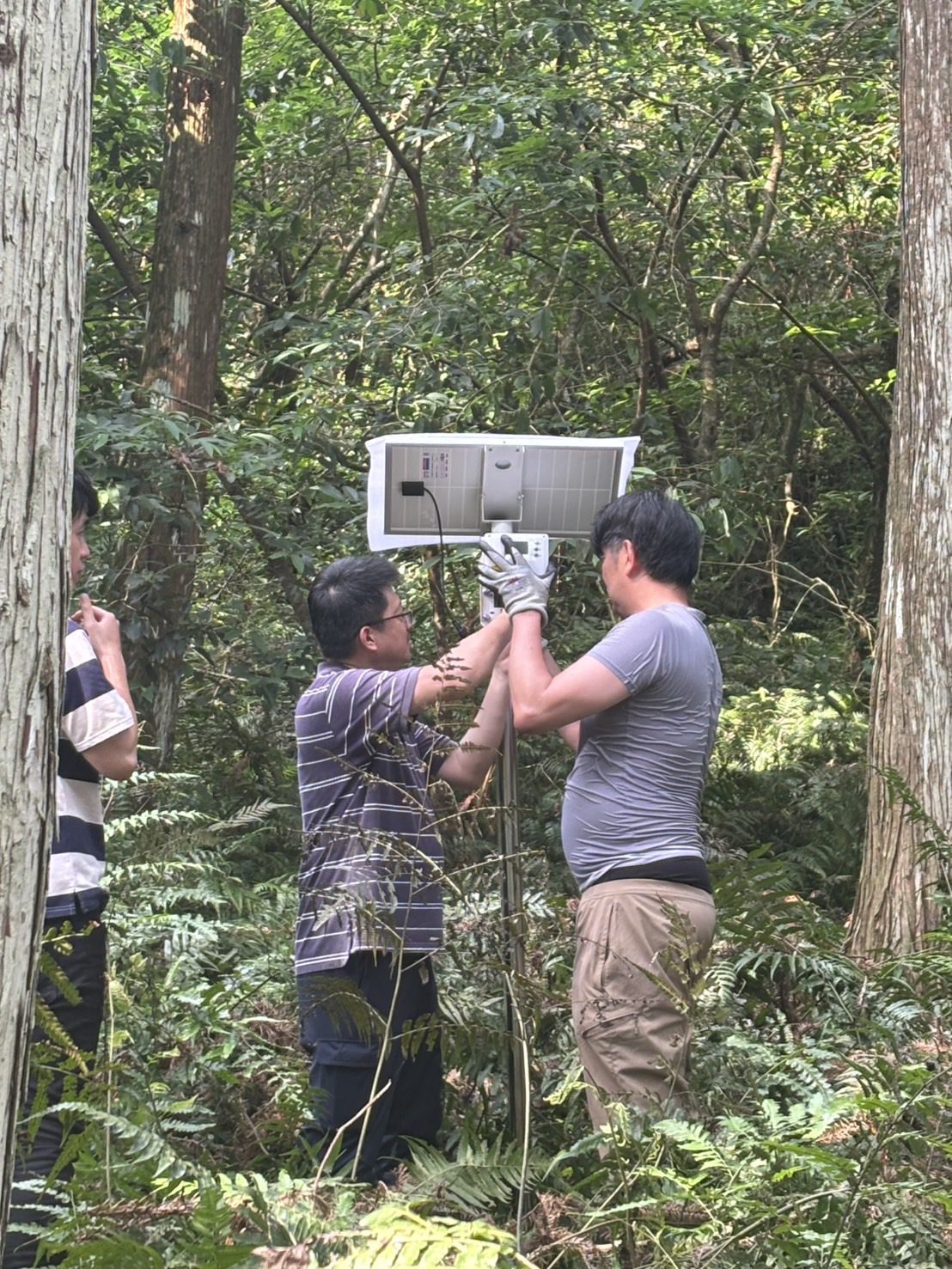 攜手神盾能源與Viasat  宜蘭大學開發智慧監測系統守護森林