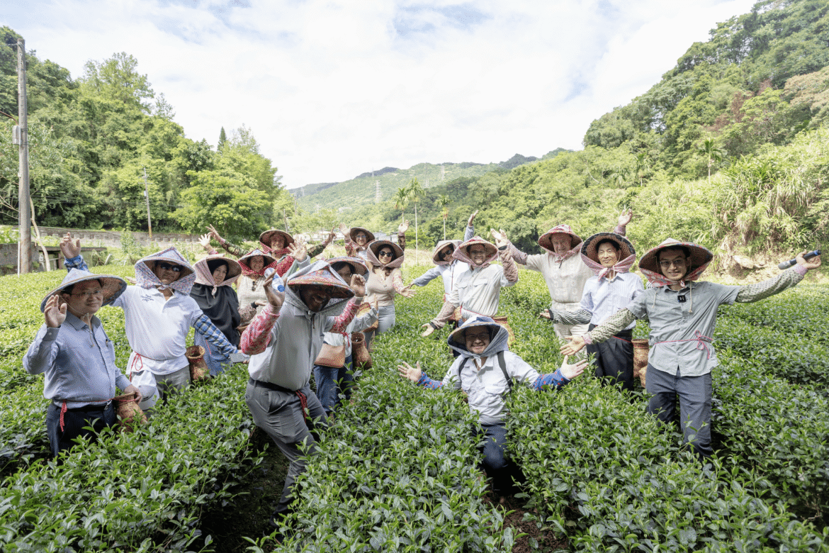駐臺使節深入坪林秘境     親手採茶、品茗     感受獨特茶文化與在地風情