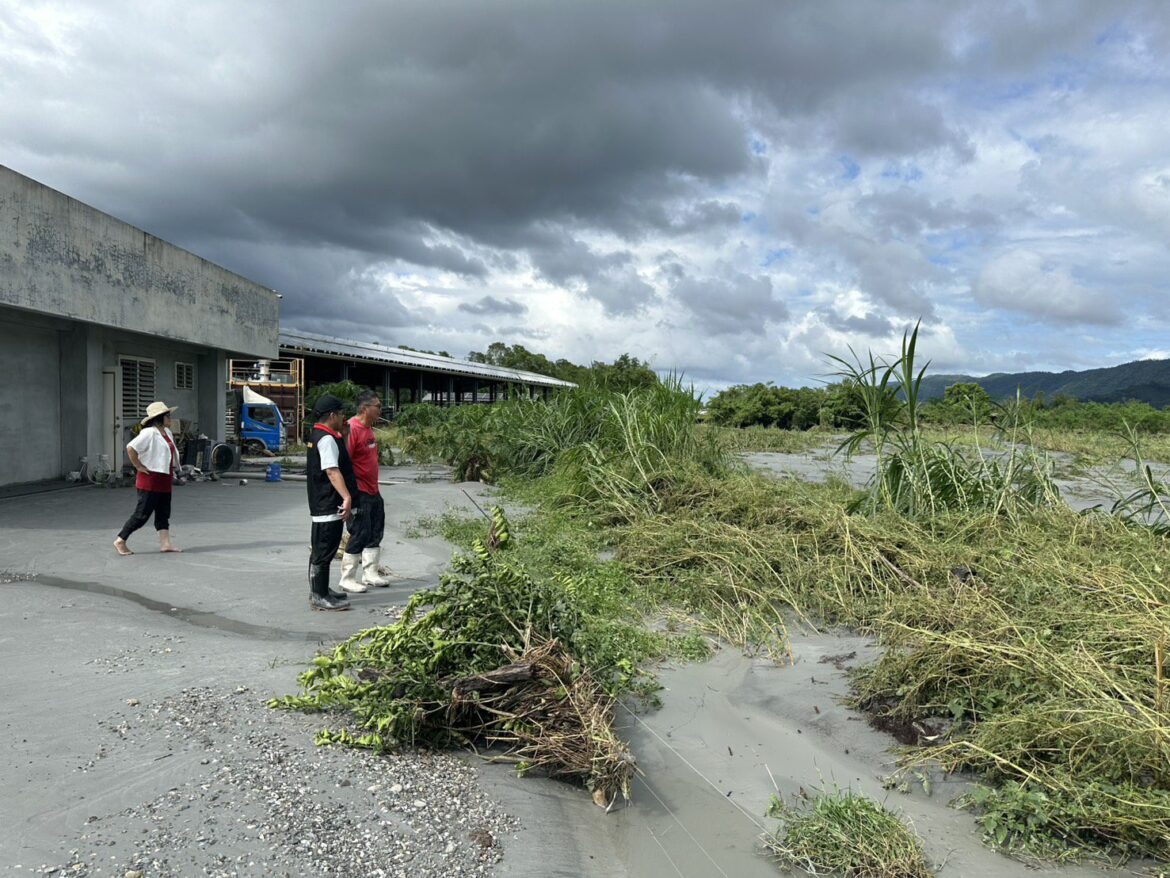 馬太鞍溪堰塞湖潰堤災情嚴重  花縣府協助農糧、畜牧業復原