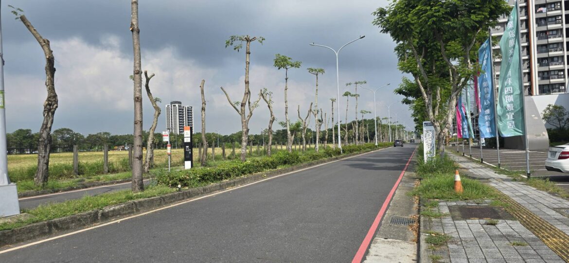 前陽明交大教授林健正痛心抨擊台南高鐵站區的「綠色廊道」被「斷頭」