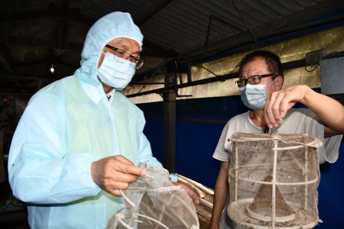 影音/毒蛋事件引發社會高度不安  林世賢推「無毒農業 × 健康蛋認證」政策