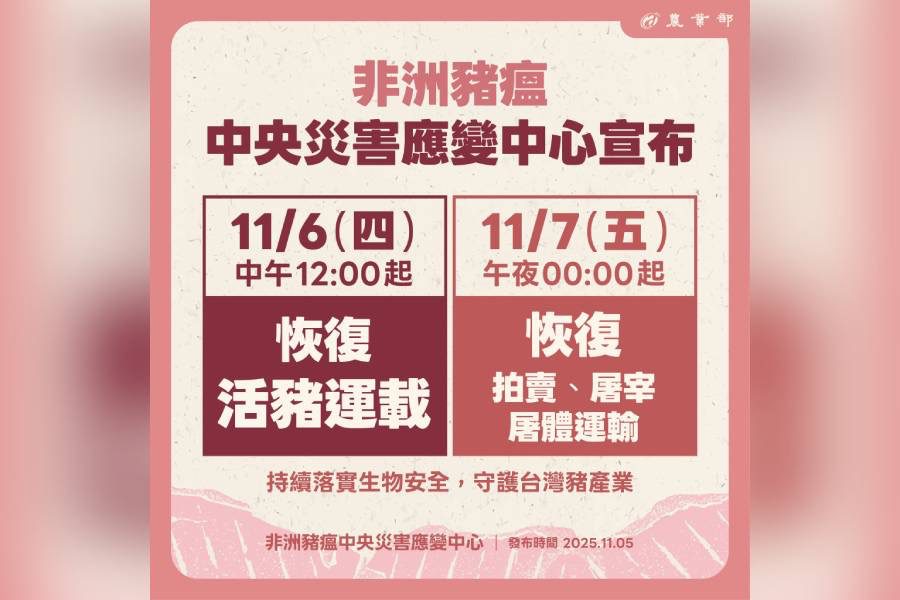 11/6中午恢復活豬運載 11/7恢復拍賣、屠宰