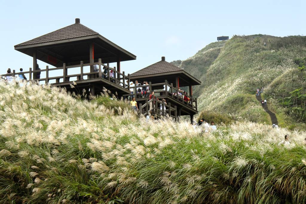 東北角秋遊芒花季登場！  台灣好行東北角套票深入探索山海風光