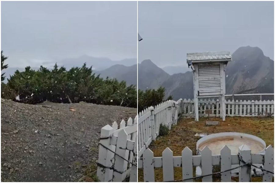 影／玉山初雪降臨！雪花紛飛30分鐘 落地即融化無積雪