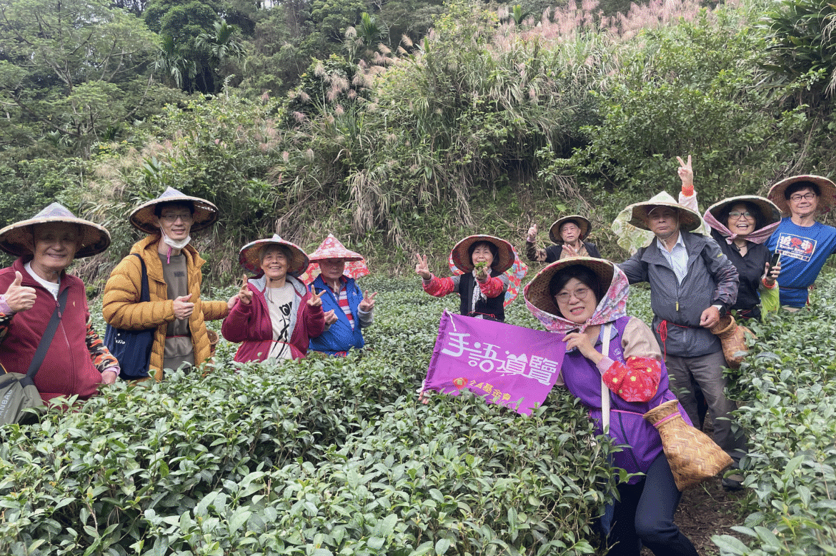 新北坪林茶博館推「手語導覽一日遊」     帶領聾人朋友體驗茶園採製