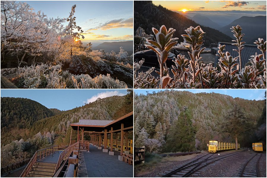 影音/太平山清晨寒冷 再現霧淞結霜美景