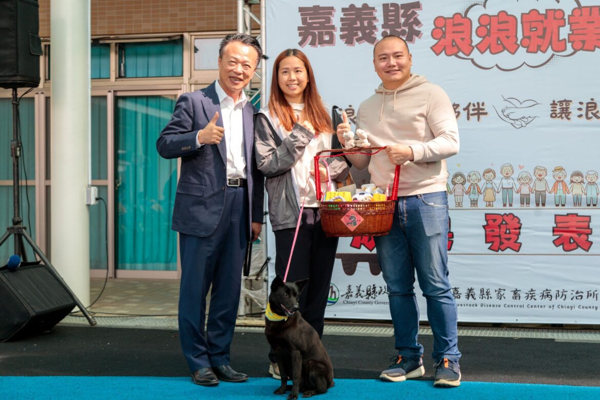 嘉義縣獨創「浪浪就業服務站」　流浪犬轉型好夥伴不再被安置