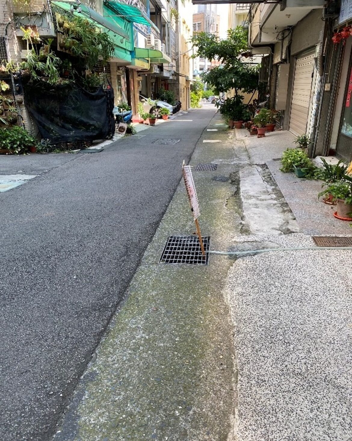 元宵節賞花燈忘記先來投標  彰化分署聯合拍賣 最低60萬入主南投市區