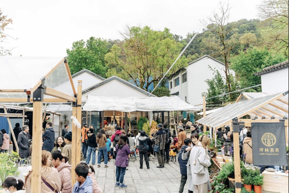茶山裡的感官實驗！新北「春澗學」跨足六大區     3/21-22 坪林主場市集不容錯過