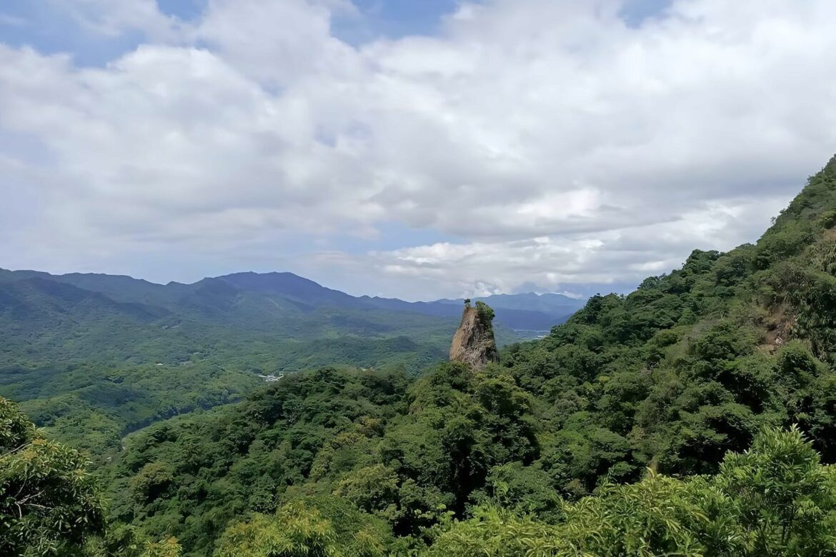 春天最美行腳！新北「微笑山線縱走」2/23 下午兩點開搶     四場春季健行帶您追螢賞星