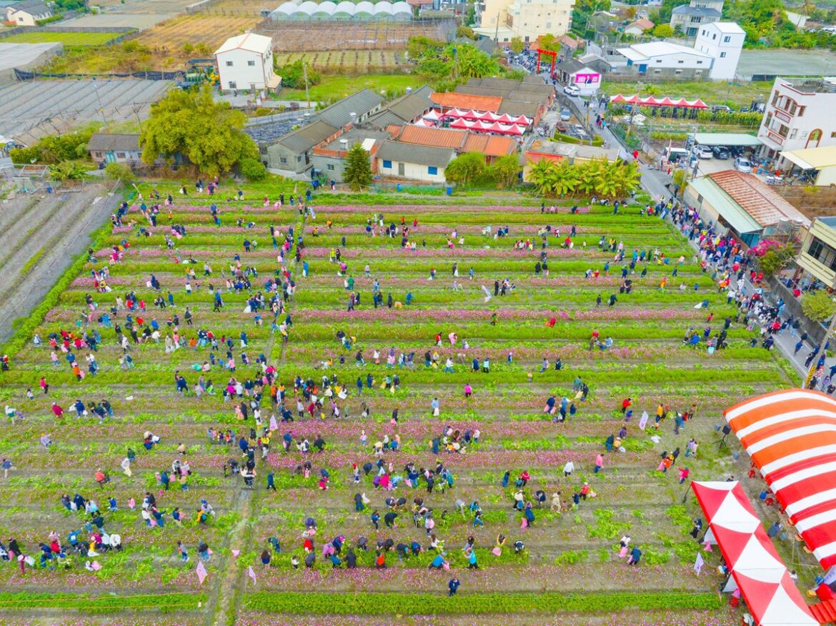 影音/2026樂遊大村．蘿蔔派對千人同樂  促進社區治理與永續發展