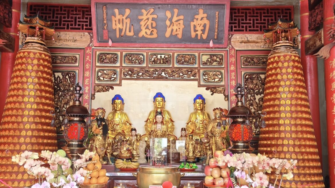 影音/開春來清水岩寺點燈安太歲   欣賞百年茶花盛開之美