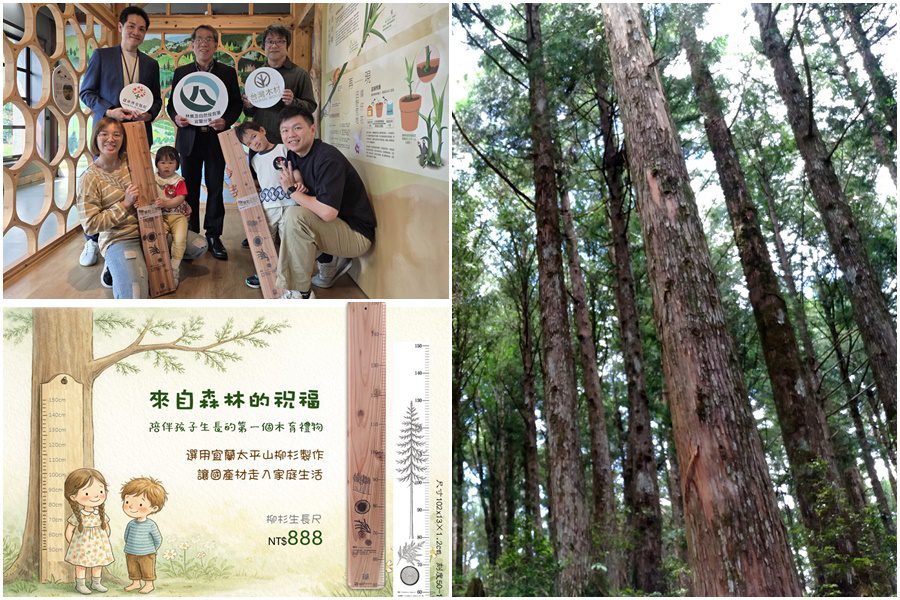 影音/國際森林日的限定祝福 321宜蘭新生兒可得柳杉生長尺