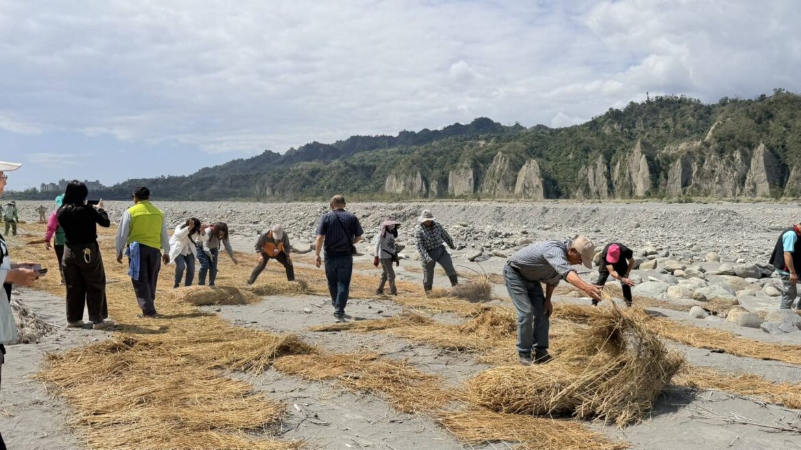 農廢再利用   稻草蓆覆蓋減少河川揚塵