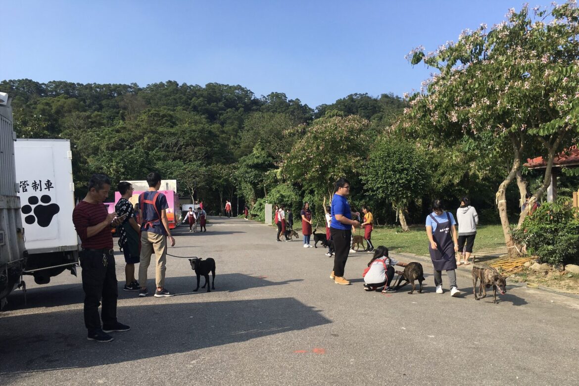 愛心不打烊！新北 8 處動物之家青年志工出擊     3/28 實踐生命教育與社會責任