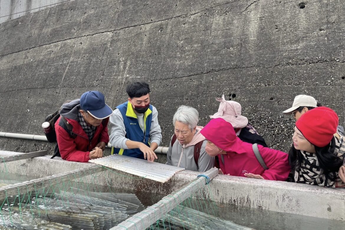 見證小生命的茁壯！東北角九孔培育進入高峰     新北復育園區邀您探訪海洋祕境