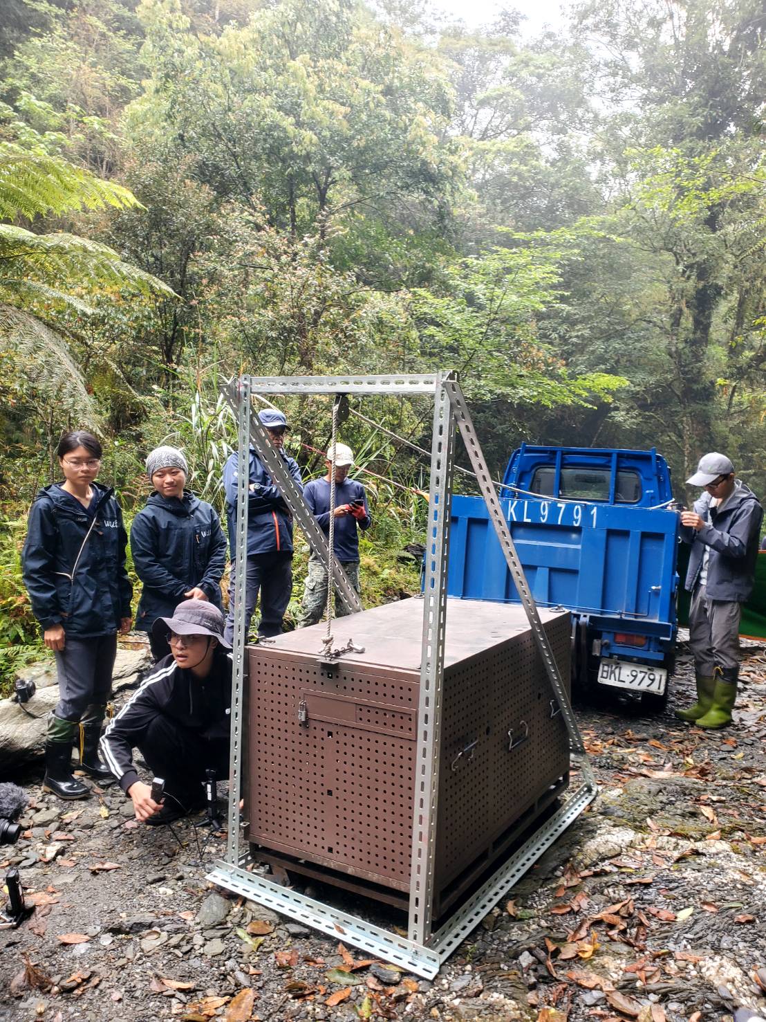 卓溪鄉母女熊同日重返山林　締造臺灣黑熊野放首例