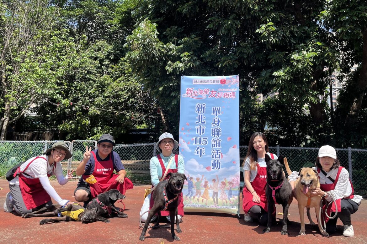 毛寶貝牽紅線！新北單身聯誼板橋登場     60 位男女在毛孩陪伴下尋找真愛