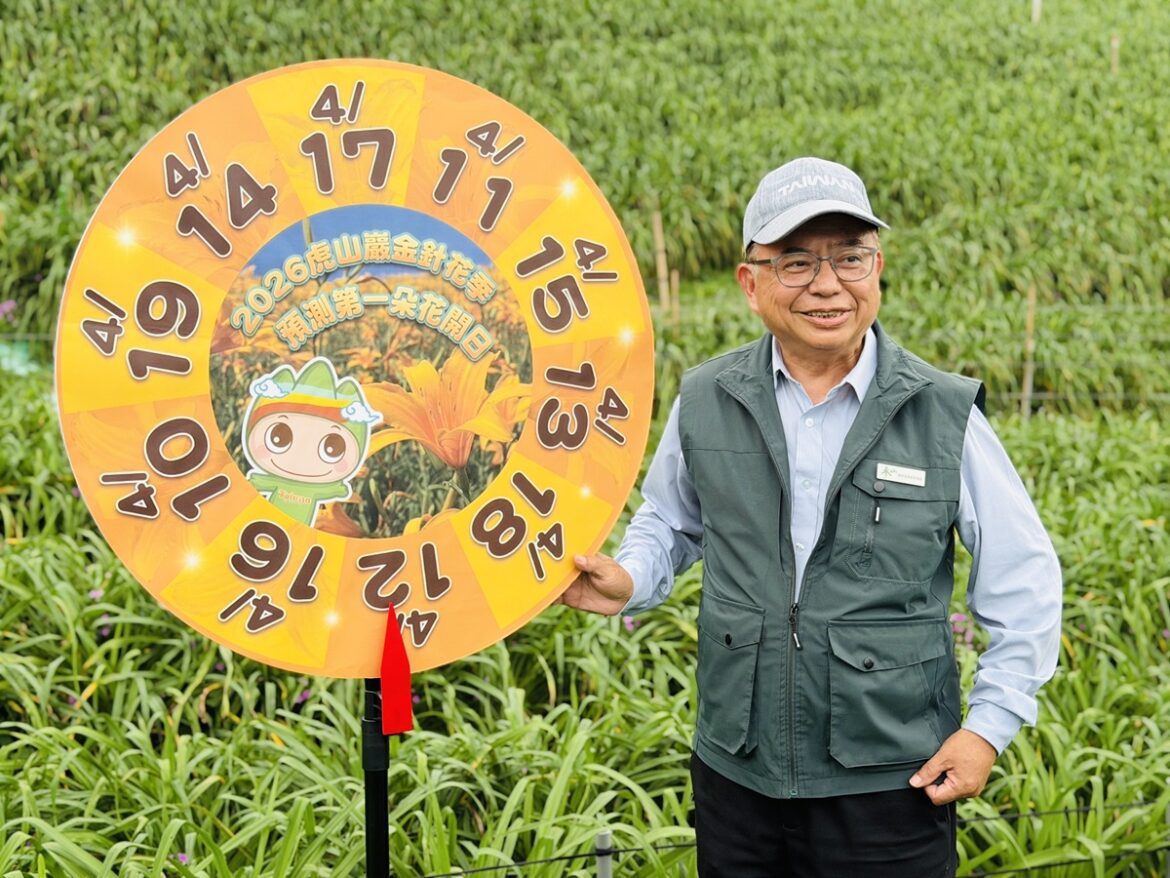 花季登場！虎山巖金針花蓄勢待開  猜中第一朵花開時間抽大禮包