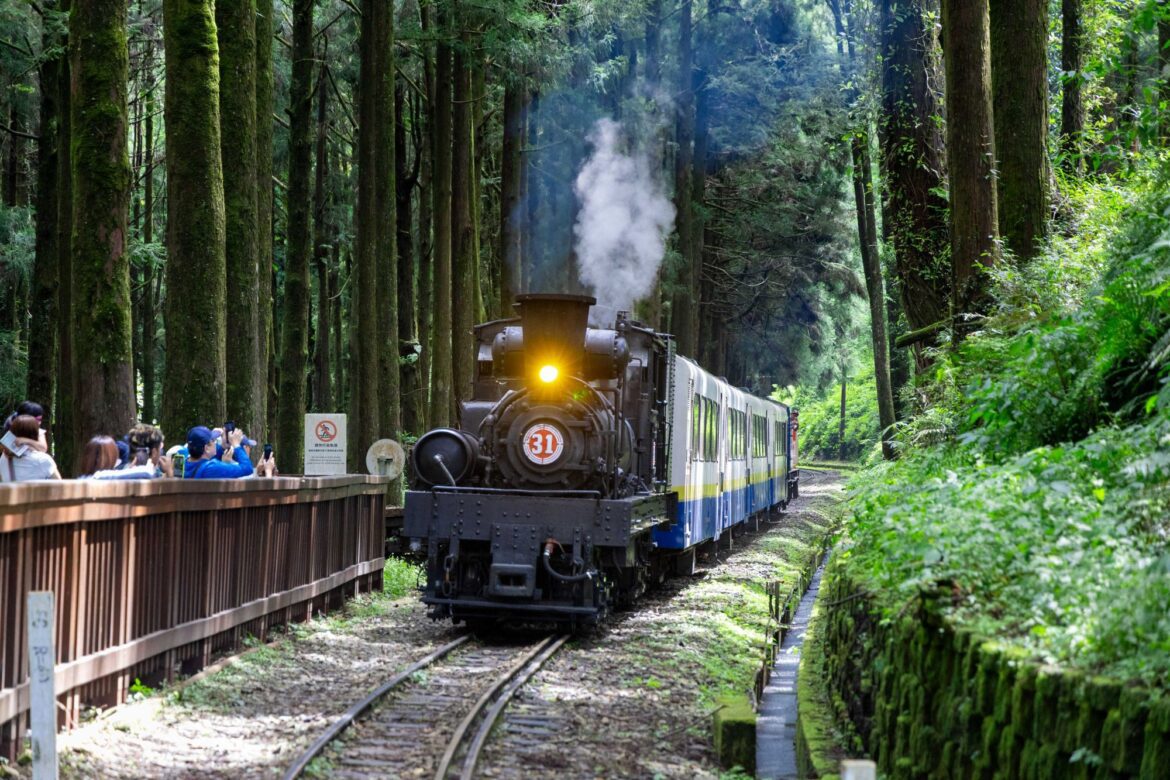 暑假限定13團　請把握阿里山蒸汽火車遊程