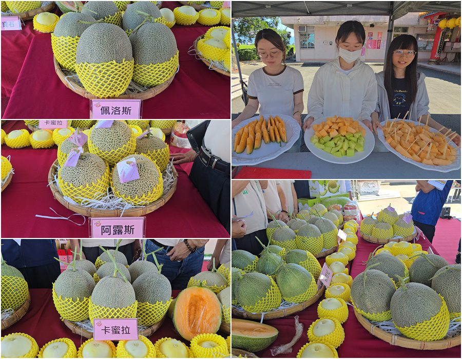 影音/壯圍健走饗瓜果6/6登場 有吃有拿還能享受田園趣