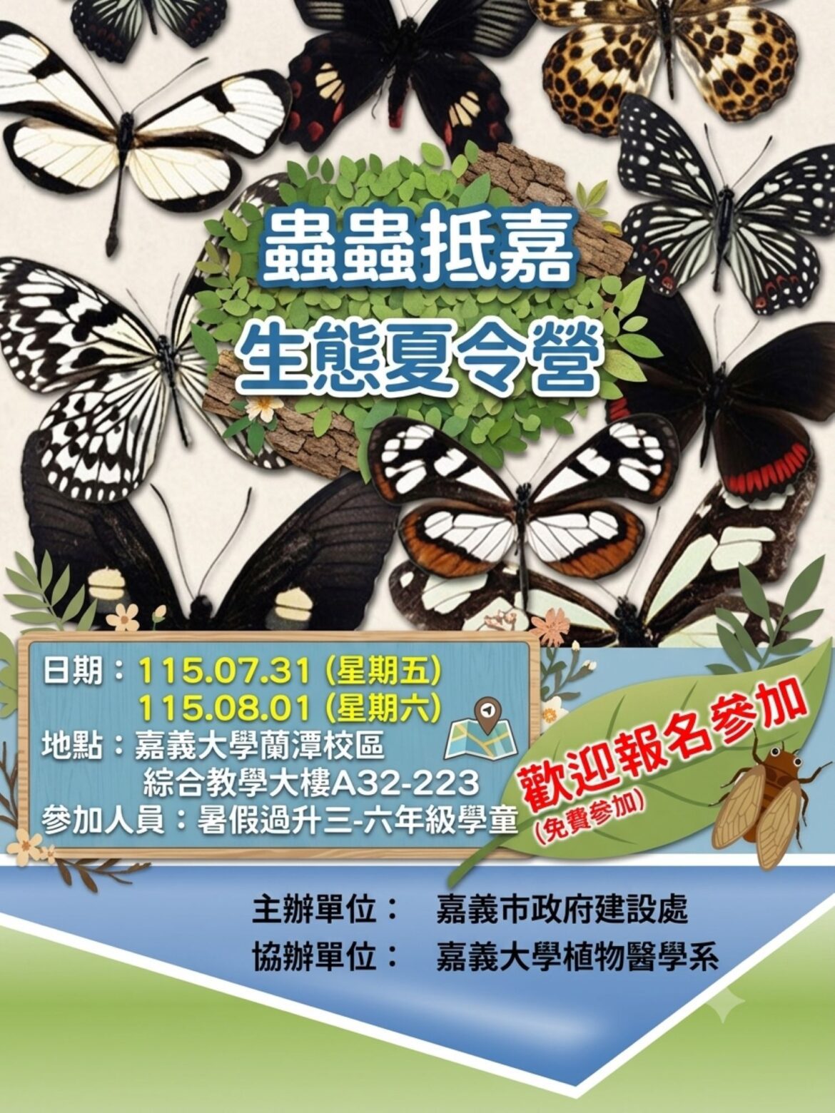 嘉義市暑假推「蟲蟲抵嘉」昆蟲生態營　親近自然探索昆蟲奧秘