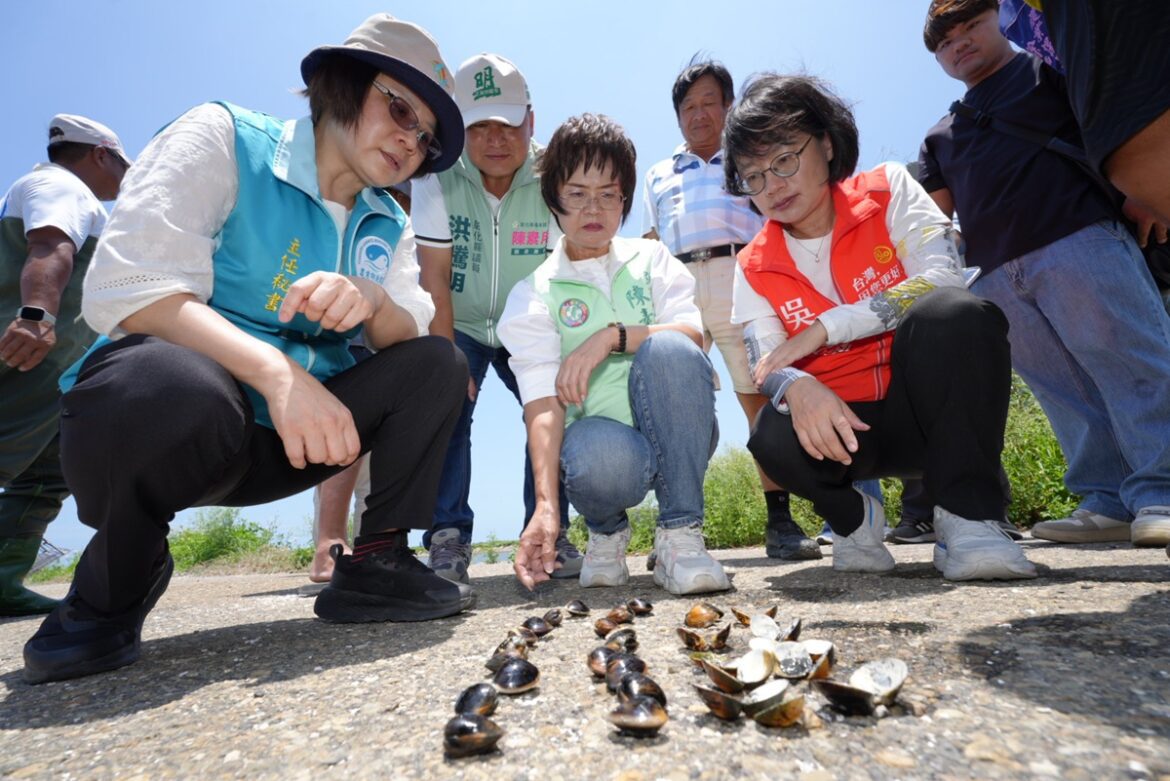 影音/連日豪雨致芳苑文蛤大量死亡  陳素月要中央速啟動天然災害救助