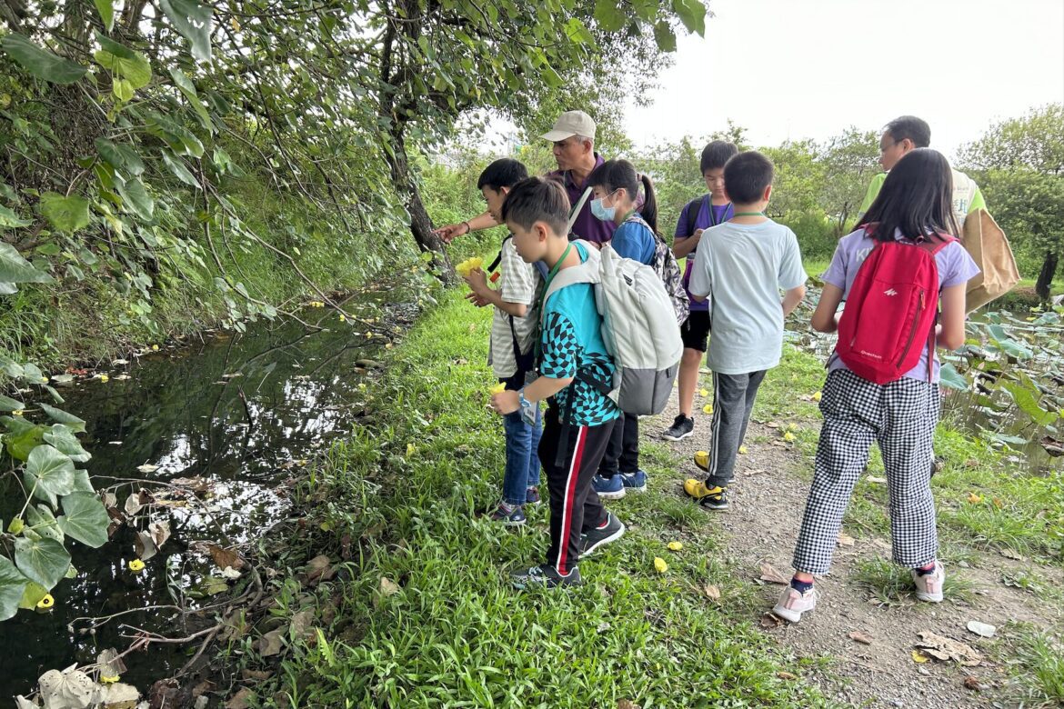 化身濕地小魔法師  新北漳和濕地暑期體驗營帶領學童探索自然生態奧妙